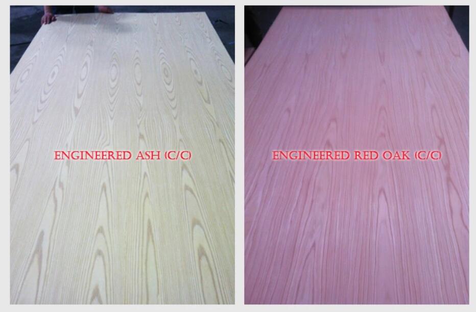 يتوهم mdf.