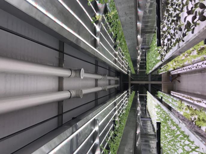 مصنع مصنع حاوية