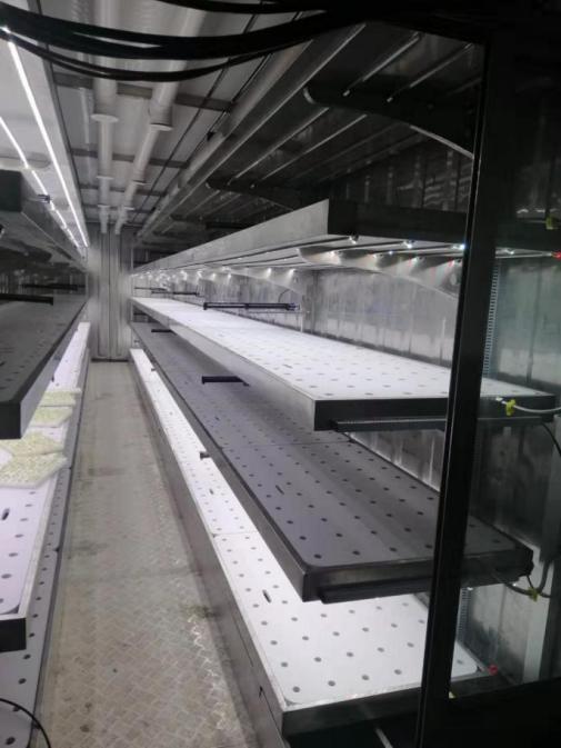 مصنع مصنع حاوية