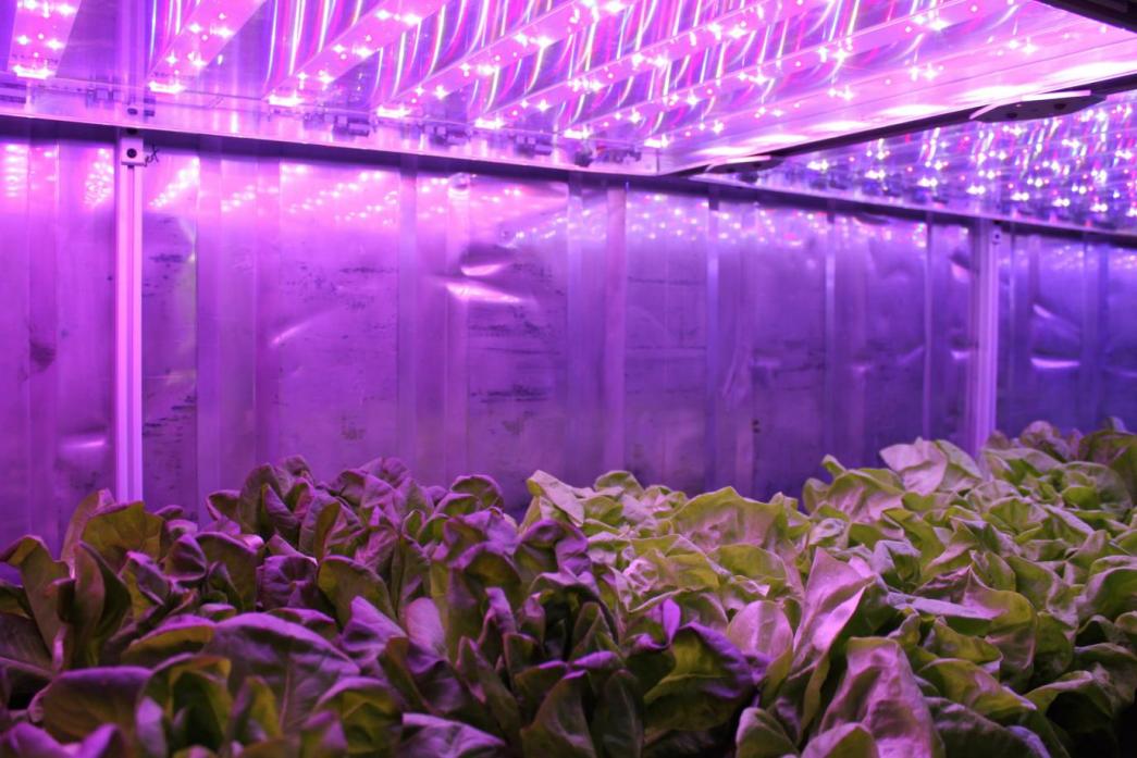 مصنع مصنع حاوية