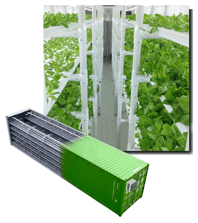 مصنع مصنع حاوية