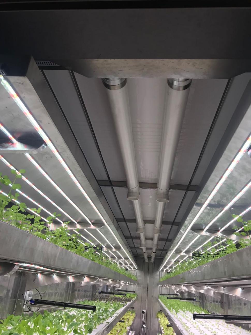 مصنع حاويات المصنع 05.