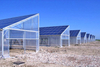 الشمسية PV الدفيئة