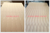 يتوهم mdf.